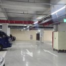 광명든든약국 이미지