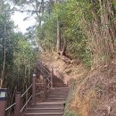 죽도봉공원 이미지