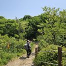 하나아파트 티스토리