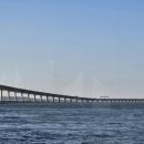 월드미션태권도 이미지