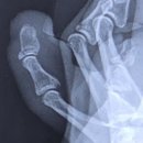 태릉마이크로의원 이미지