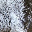 목화공방스테이 이미지