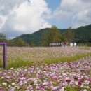 허브밸리(암석원) 네이버블로그