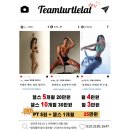 팀터틀랫 중부점 이미지