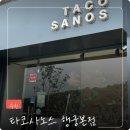 499 | 행궁동맛집 타코사노스 행궁본점에서 즐긴 수원타코 데이트코스 후기