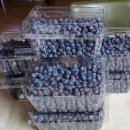 영흥농장 이미지