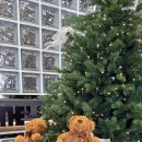 인동중앙로5길-1 이미지