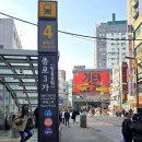 SHOW | 쇼태권(SHOW TAEKWON) 후기: 허리우드극장에서 만난 역동적인 퍼포먼스!