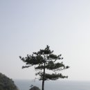 해금강 - 동구 신암동 | 해금강