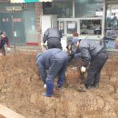 영산홍 심기&급수펌프모터 교체공사 현장설명회 (창신무학타운) 이미지