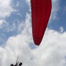 부림체육관 이미지