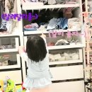 박수홍네 고양이 다홍이 근황 이미지