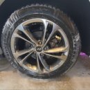 비디테일 이미지