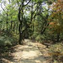 한솔체력단련장 이미지