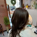 착한헤어 - 홍성군 월산로30번길 24 | 착한헤어