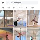 허니폴댄스