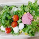 맛있고 배부른 다이어트 요고참 반탄밀박스 샐러드