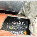 배관천왕