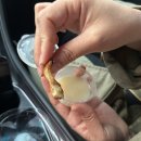 커피마시기좋은날 | 상하이 버터떡 상륙! 목포 버터떡 솔직 비교 (무드비, 커피 마시기 좋은 날, 레브 케이크샵)