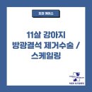 박물관옆동물병원 이미지