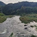 수입2교 이미지