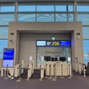 청해농장 | Ep.01(1) “호주 워킹홀리데이, 나의 새로운 시작 이야기”