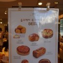 부산 남천동 빵천동 빵집 투어 빵지순례 :: 내멋대로 빵드컵 1회차 (빵은이지비아 vs 옵스)