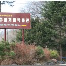 주필거미박물관 티스토리