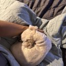 애:영스테이 이미지