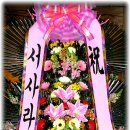 파동약국 이미지