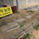 용두농원
