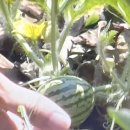 정동욱이비인후과의원 이미지