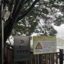 중랑천 제1체육공원 | 2025년 동대문마라톤 대회 후기 배번호는 택배로 좀 보내줘라..