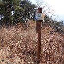 삼가로3 이미지