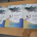 독도아리랑 정기공연 이미지