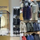 세일테크 | 유니클로 11월 감사제 세일 전 알아야 할 퍼프테크 패딩 라인업 후기