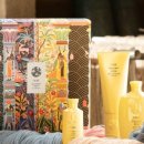 헤어컬렉션 이미지