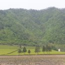 보성아이스크림 이미지