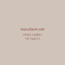모루농장 네이버블로그