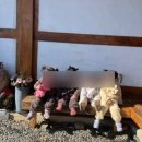 대부도한옥펜션 해솔 이미지