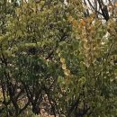 (유)한국비엠에스제약 이미지