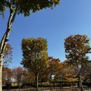 효원로308번길 | 인계동미용실, 살롱드몬드에서 헤어컨설팅 찐후기(맞춤스타일 찾음)