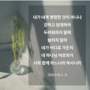 돌돌.. 이미지