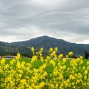 운전천 네이버블로그