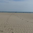 낙동강변로 이미지