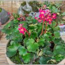 홍천한우 이미지