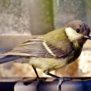 용동중학교 이미지