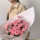 스튜디오로즈데이