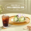 하이래빗