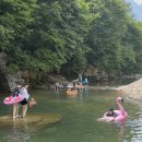 대바우가든 이미지